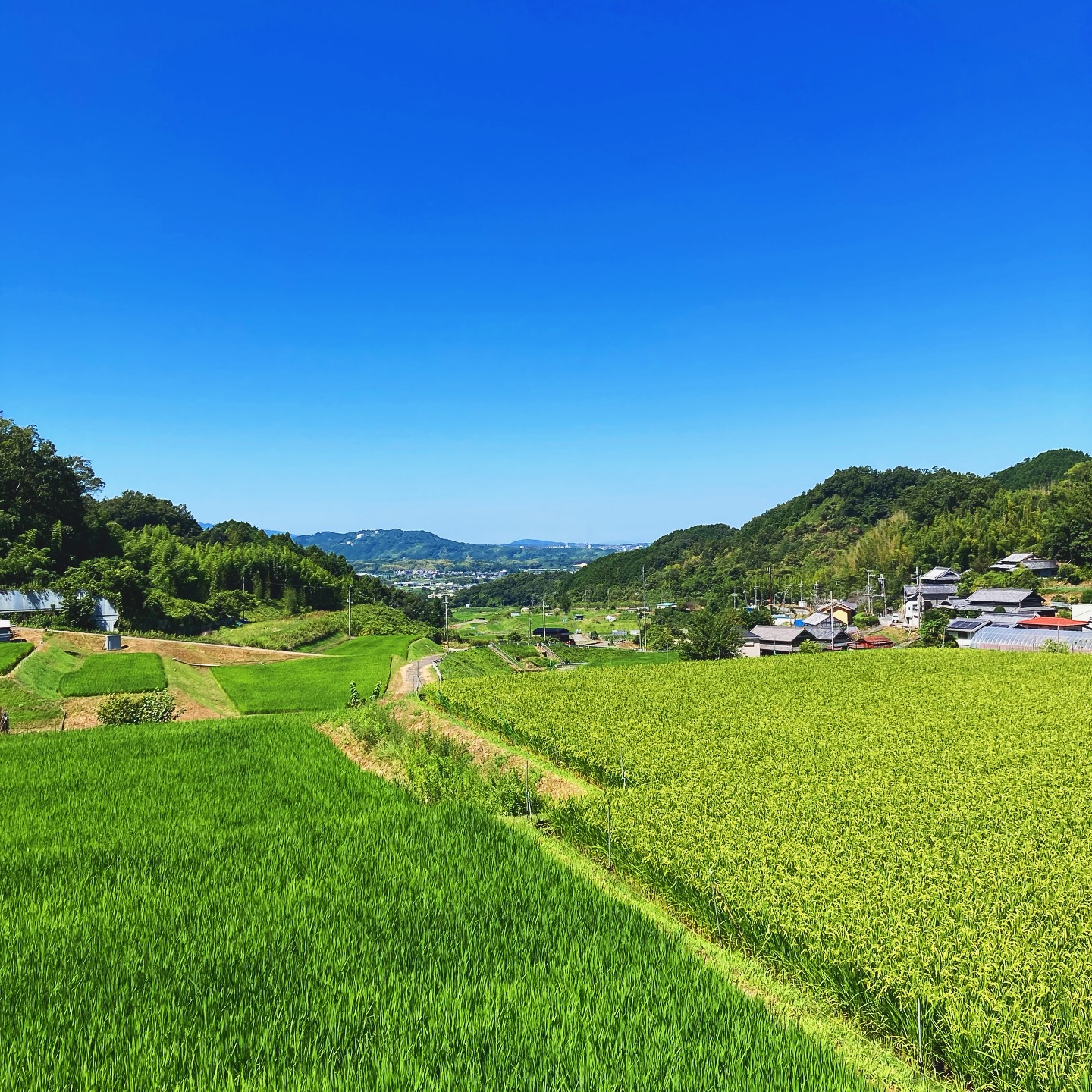 河南町の山間からの田園風景01