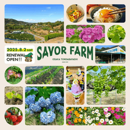 サバーファーム（富田林市農業公園）＜富田林市＞ - みなかわとりっぷ