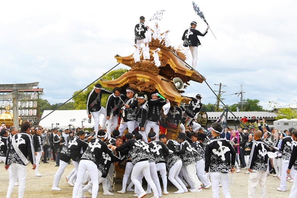 河南町秋祭り（だんじり祭り）2024