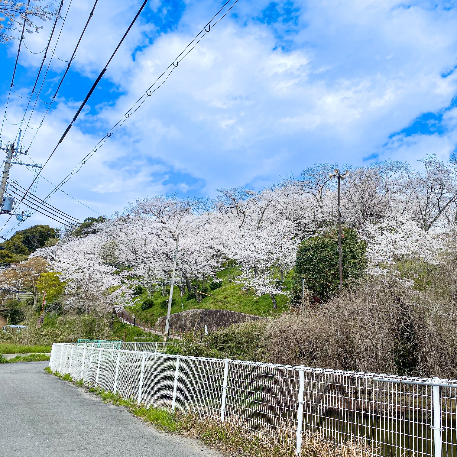 滝谷公園04